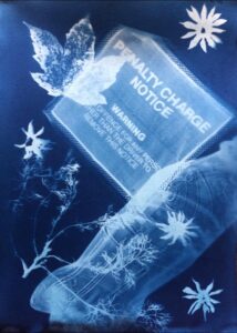 Read more about the article Art from sea trash