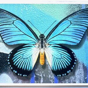 Evi Antonio – Giant Blue Urban Abstract